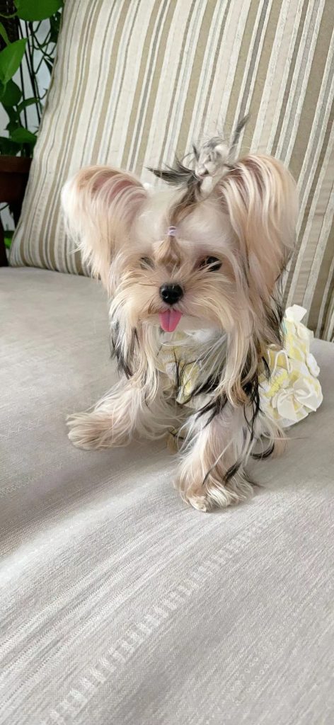 Customer photo shared with Elsamilu
