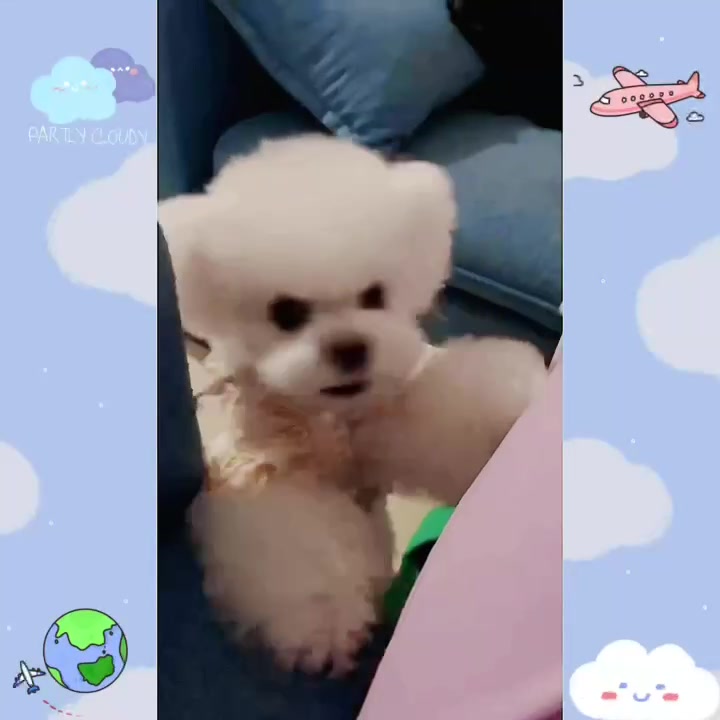 Customer video shared with Elsamilu