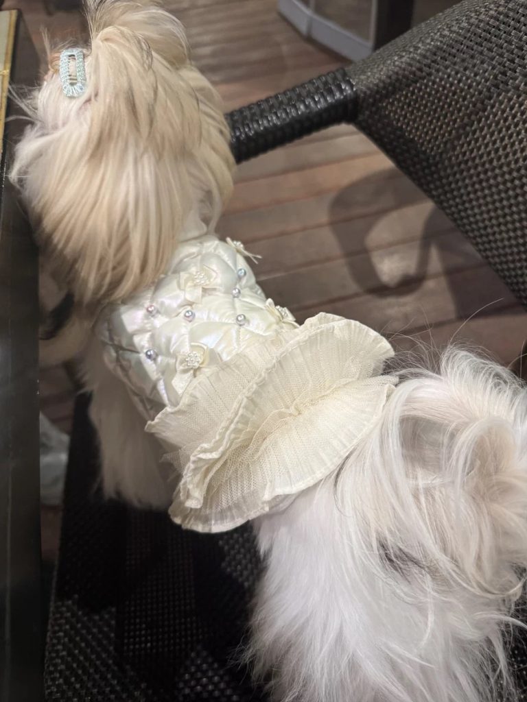 Customer photo shared with Elsamilu
