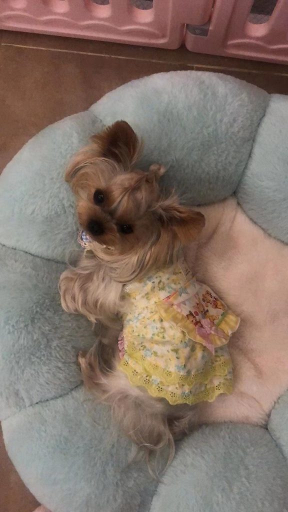 Customer photo shared with Elsamilu