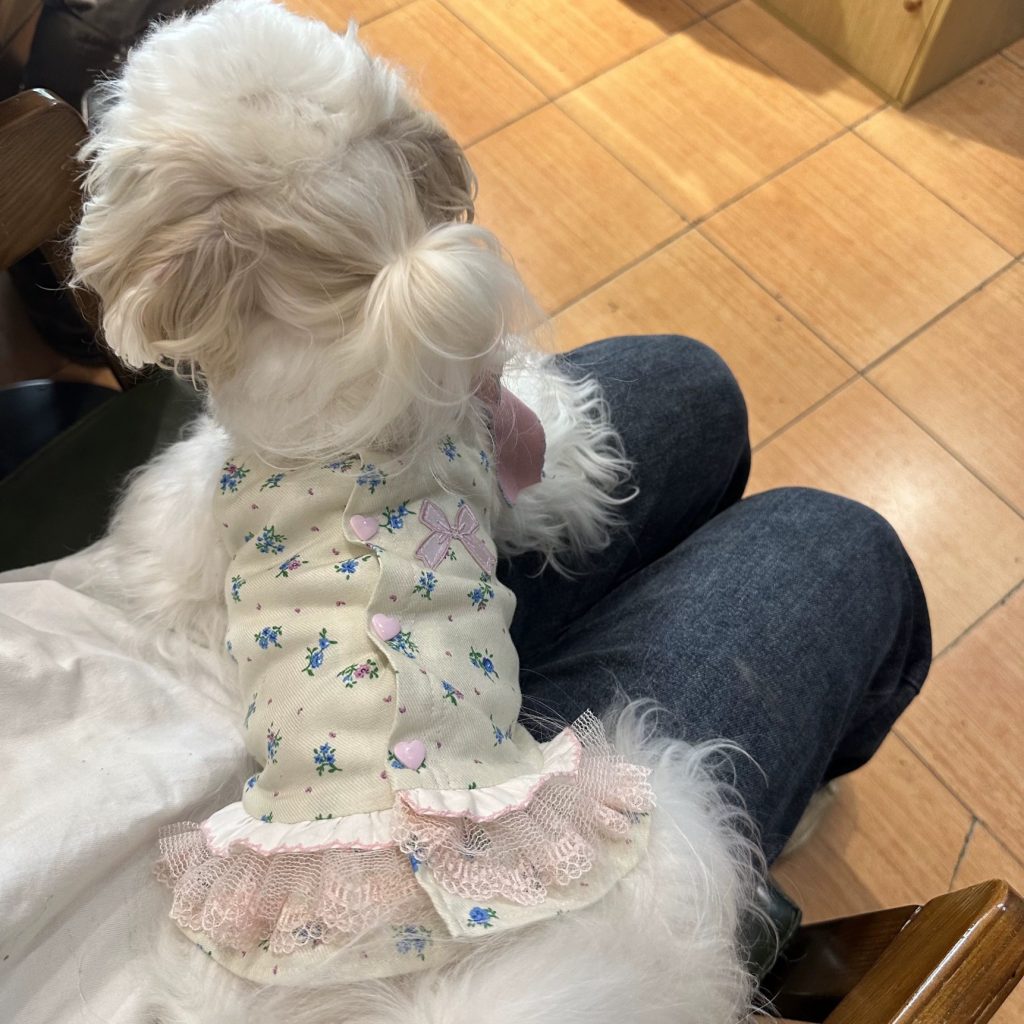 Customer photo shared with Elsamilu