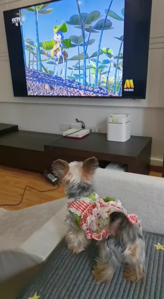 Customer video shared with Elsamilu