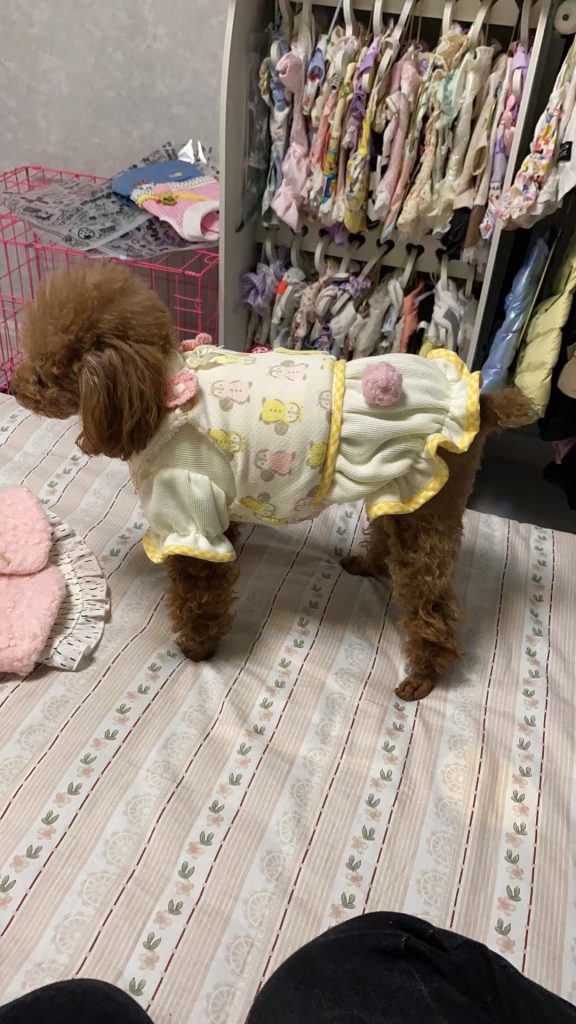 Customer photo shared with Elsamilu