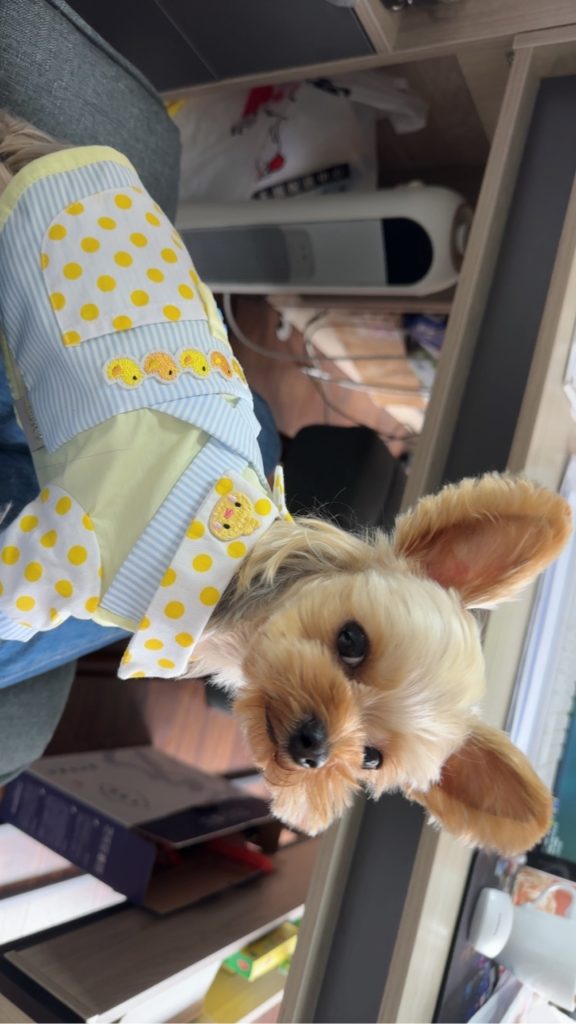 Customer photo shared with Elsamilu