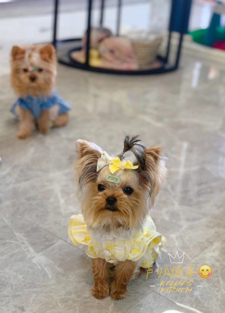 Customer photo shared with Elsamilu