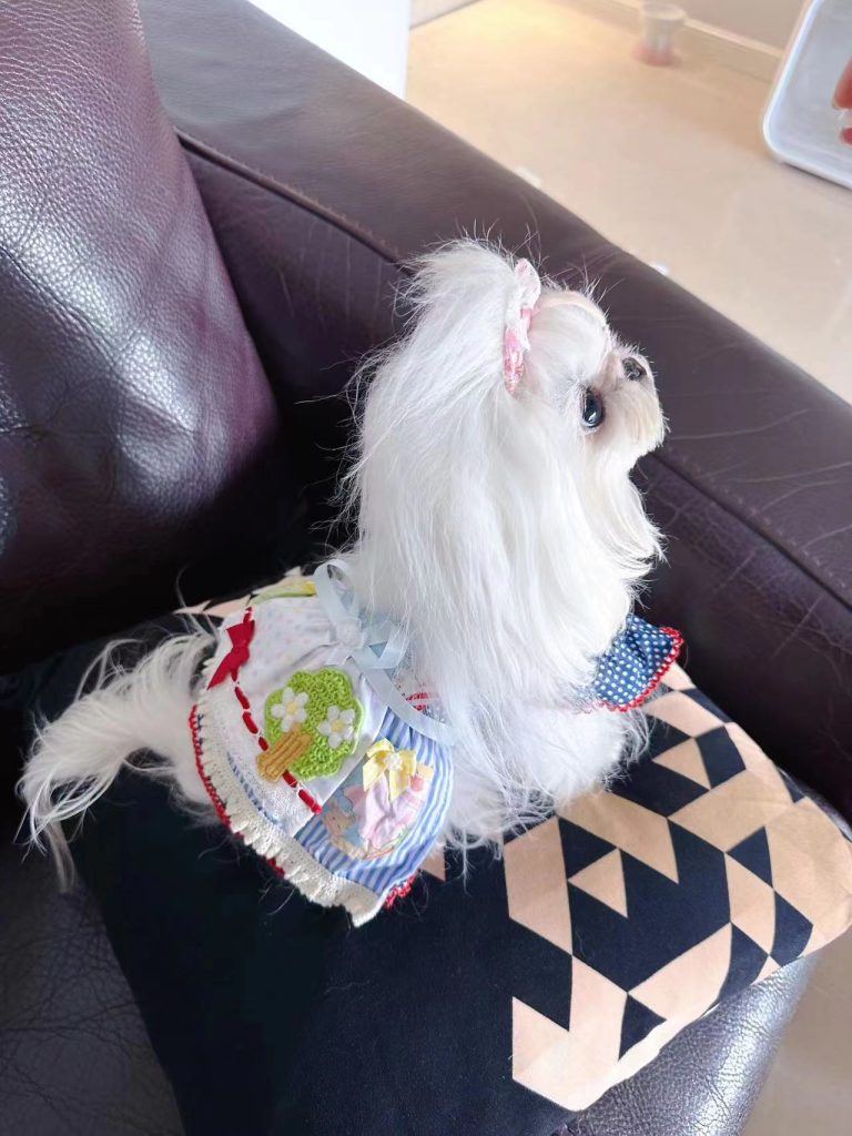 Customer photo shared with Elsamilu