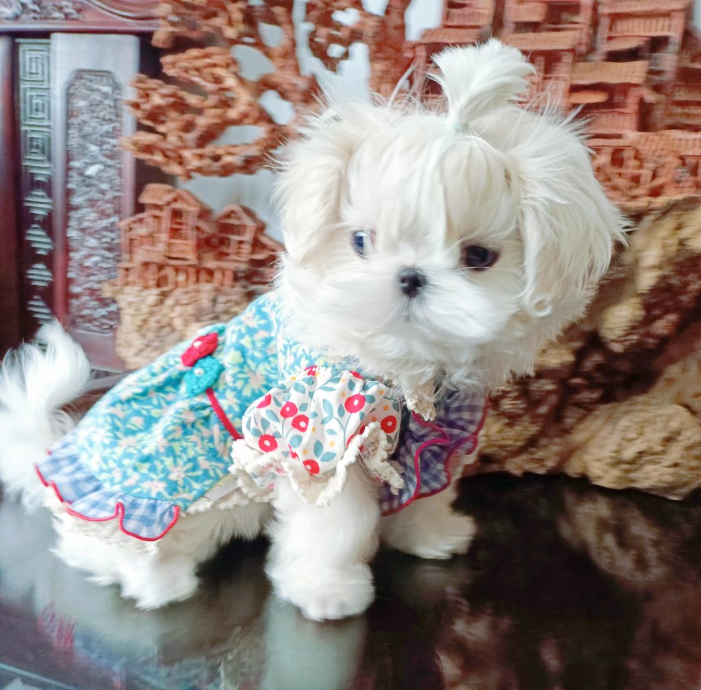Customer photo shared with Elsamilu