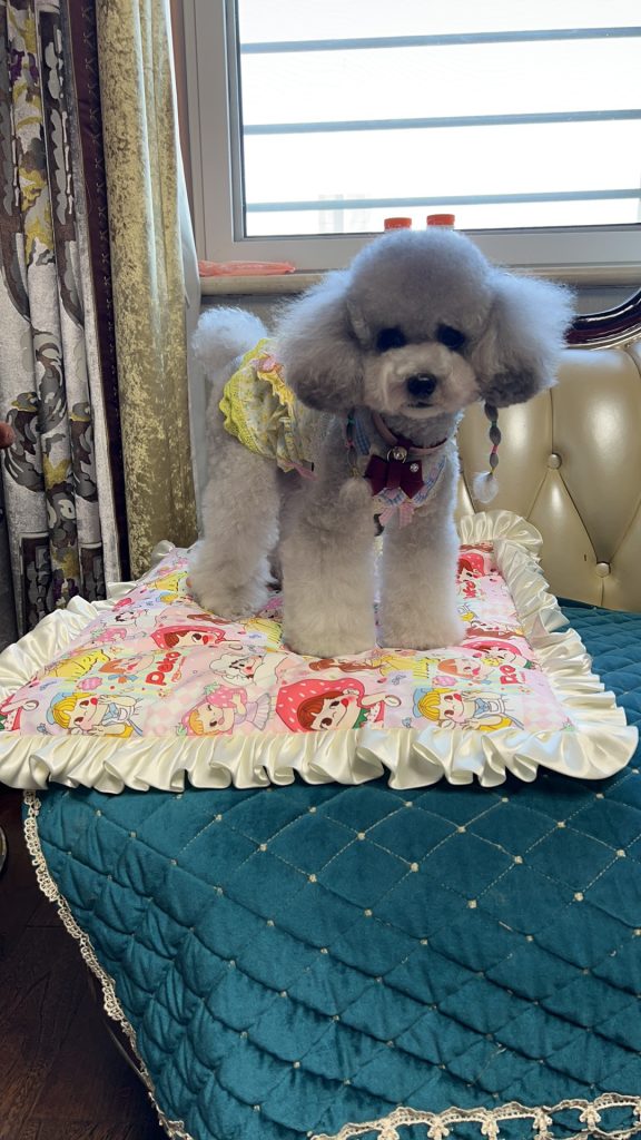 Customer photo shared with Elsamilu