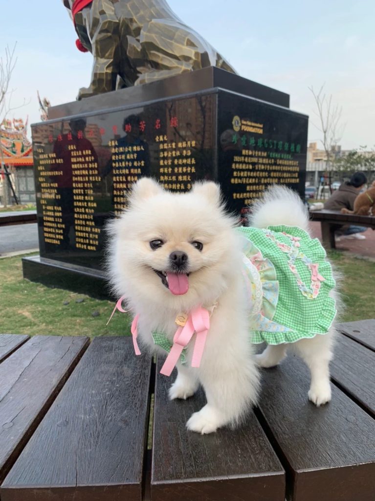 Customer photo shared with Elsamilu