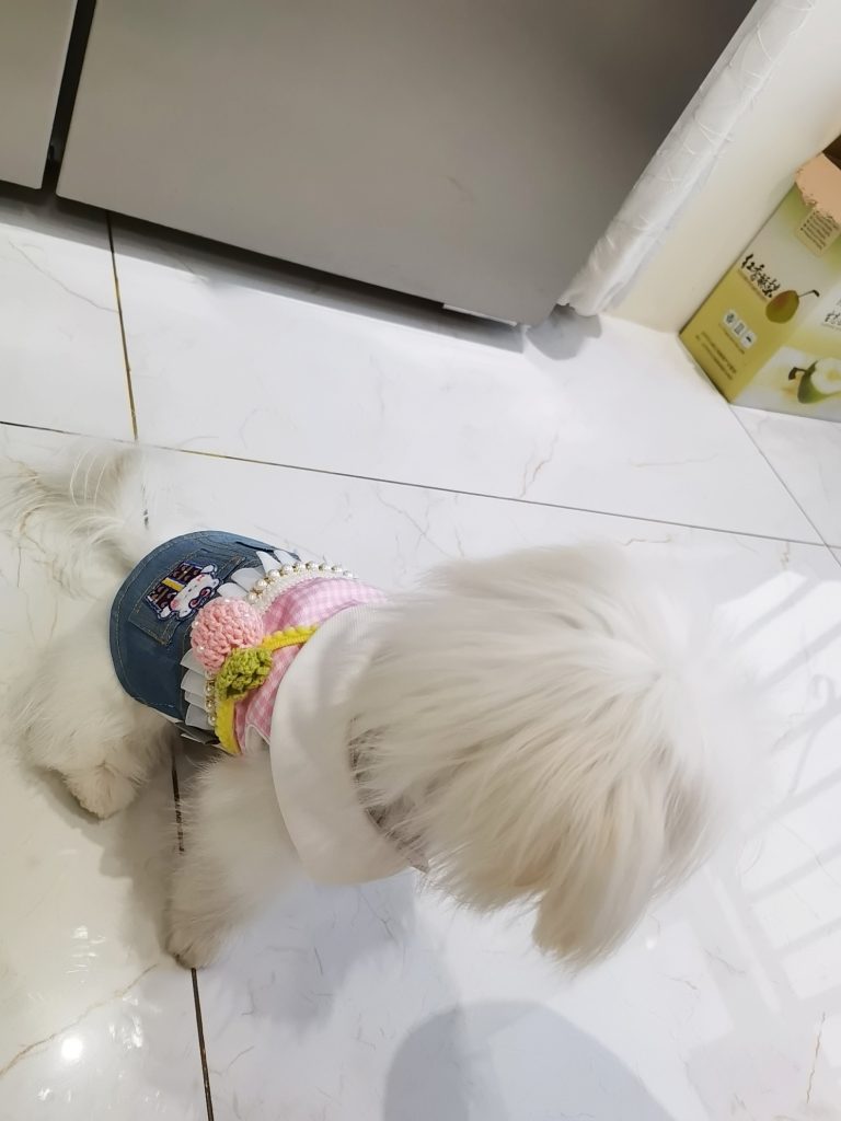 Customer photo shared with Elsamilu