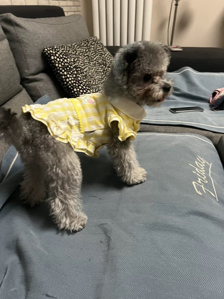 Customer photo shared with Elsamilu