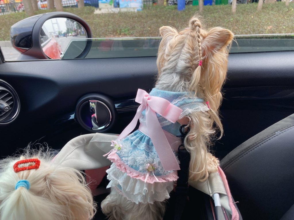 Customer photo shared with Elsamilu