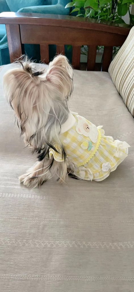 Customer photo shared with Elsamilu