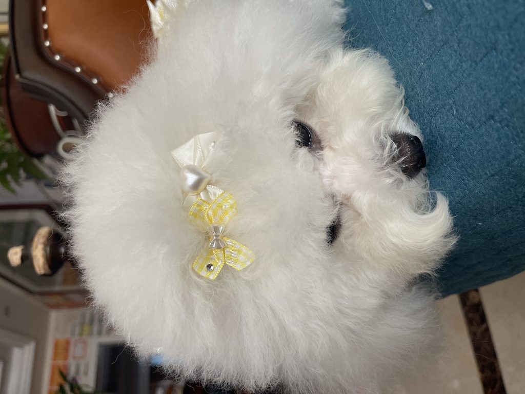 Customer photo shared with Elsamilu