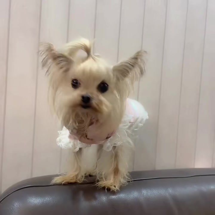 Customer video shared with Elsamilu