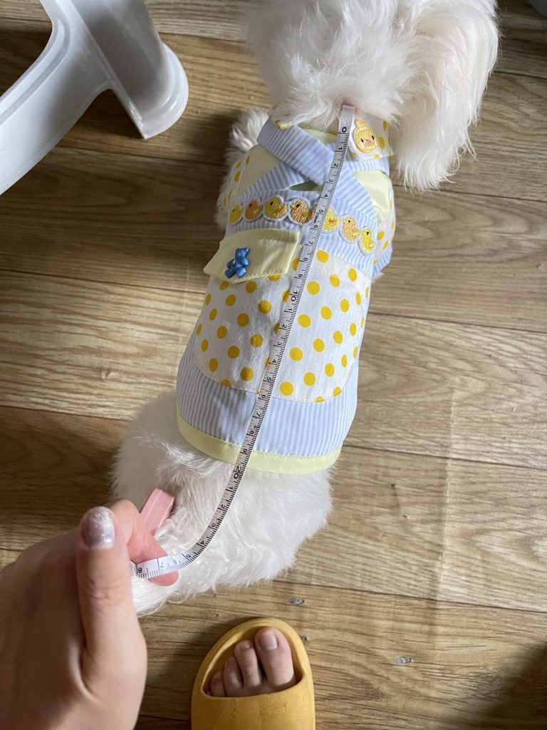 Customer photo shared with Elsamilu
