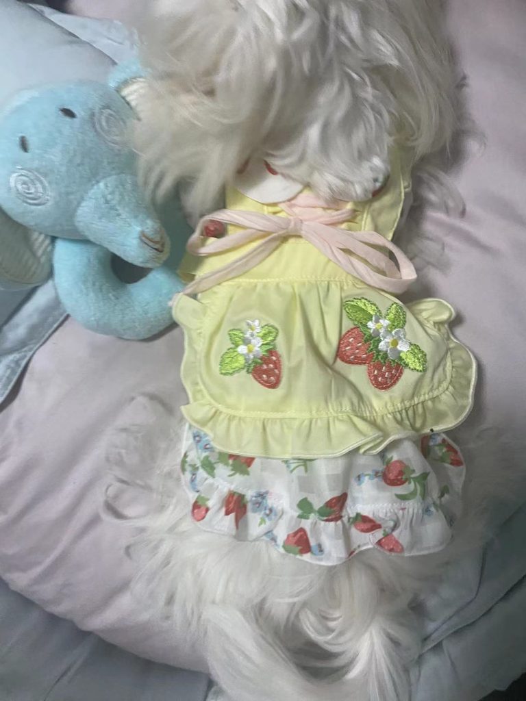Customer photo shared with Elsamilu