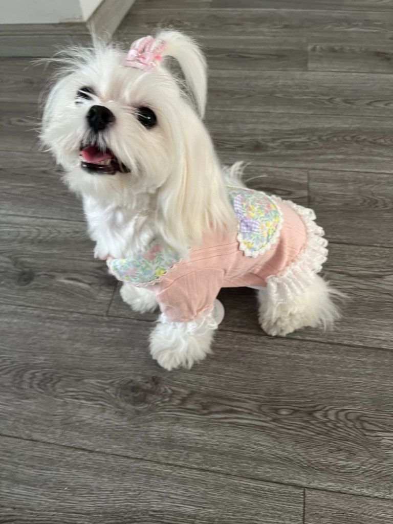 Customer photo shared with Elsamilu