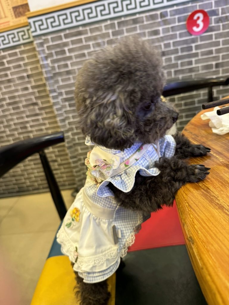 Customer photo shared with Elsamilu