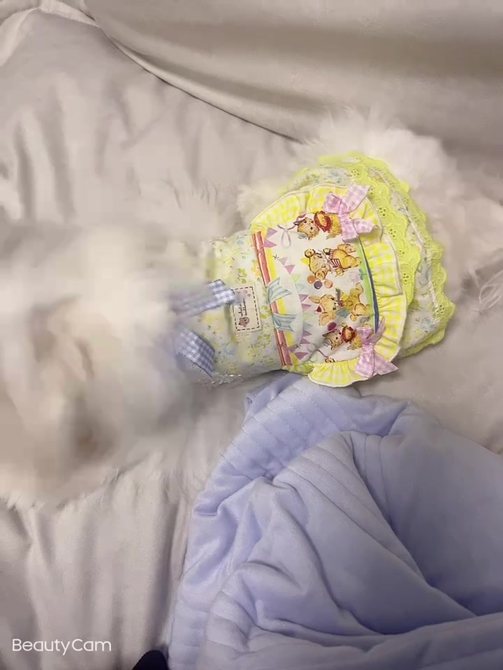 Customer video shared with Elsamilu