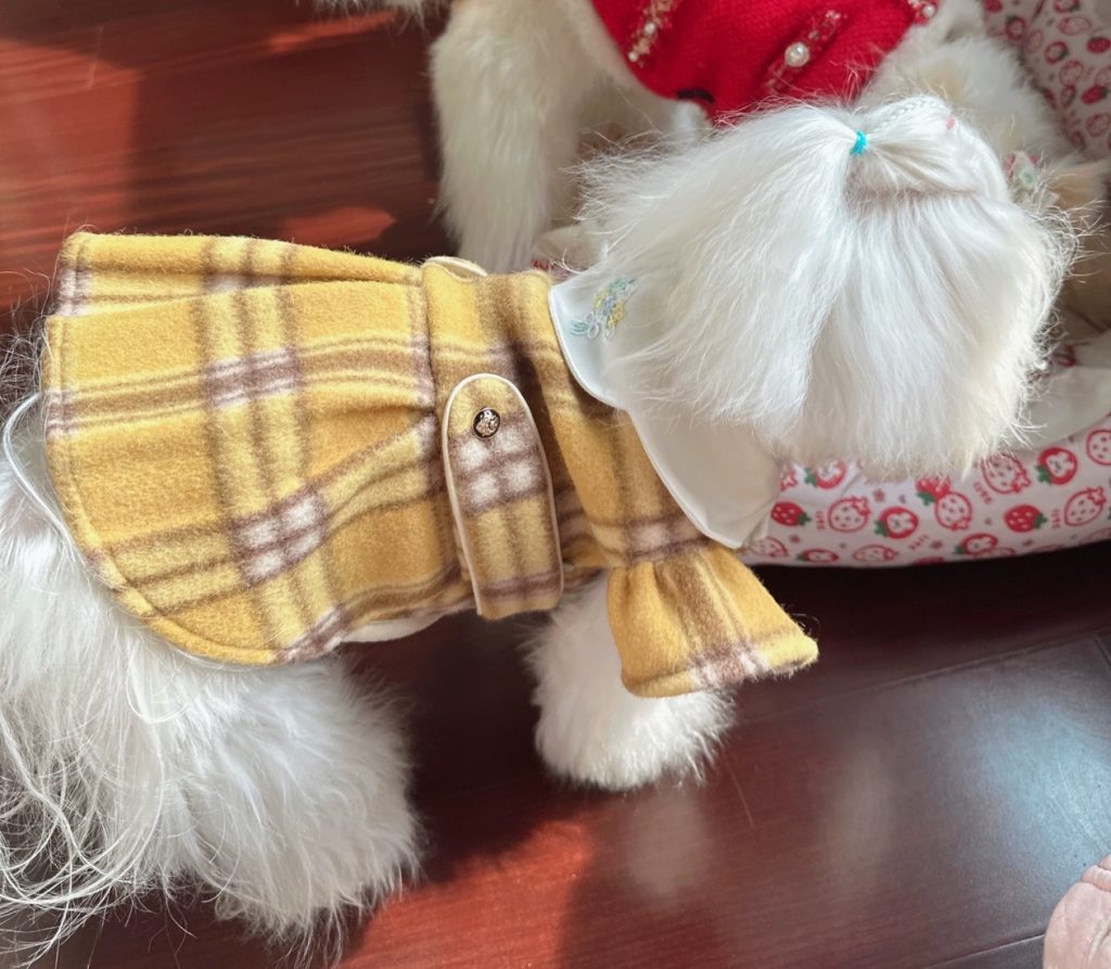 Customer photo shared with Elsamilu