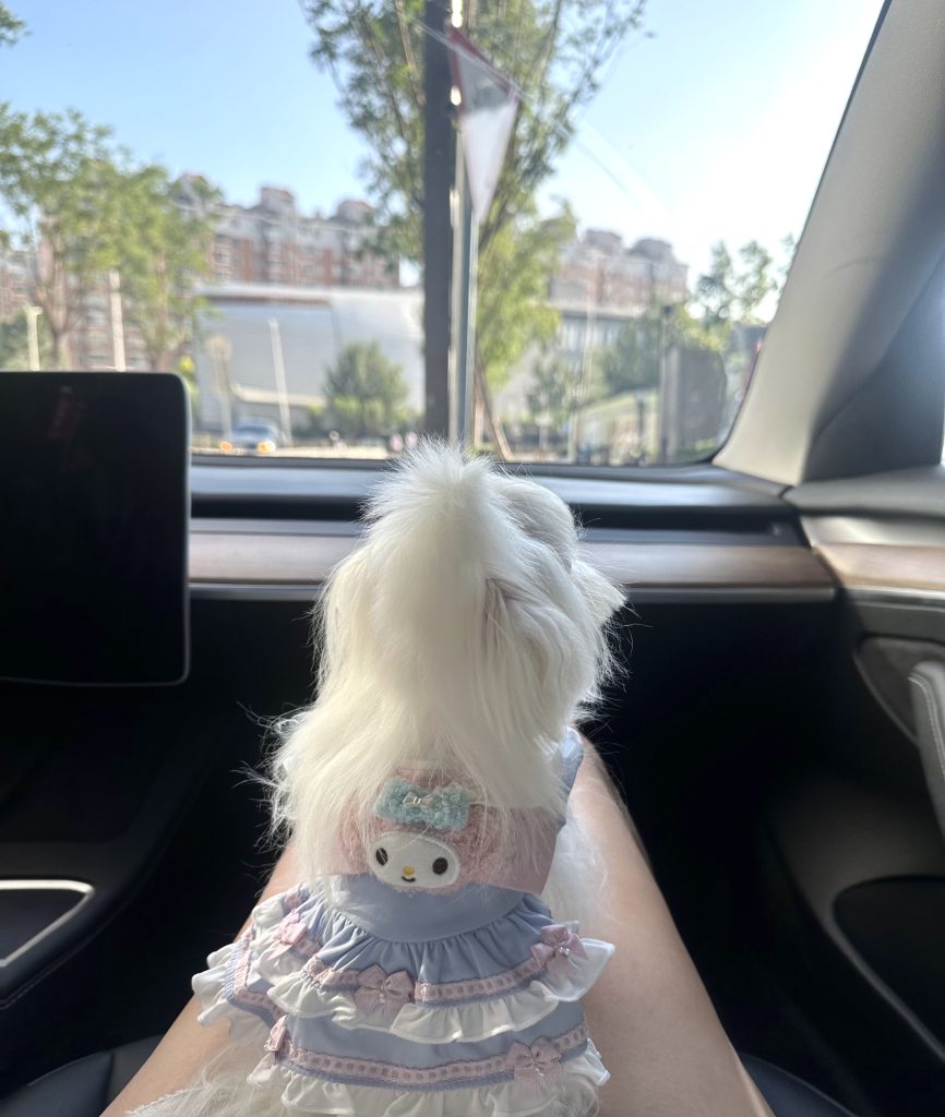 Customer photo shared with Elsamilu