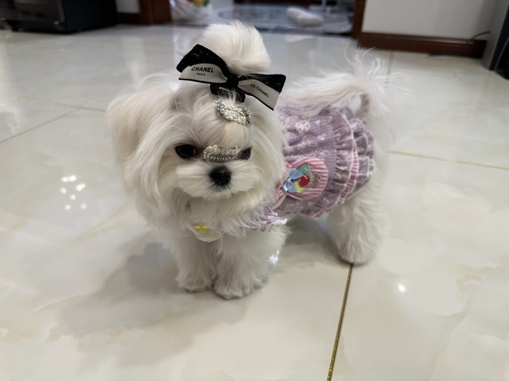 Customer photo shared with Elsamilu