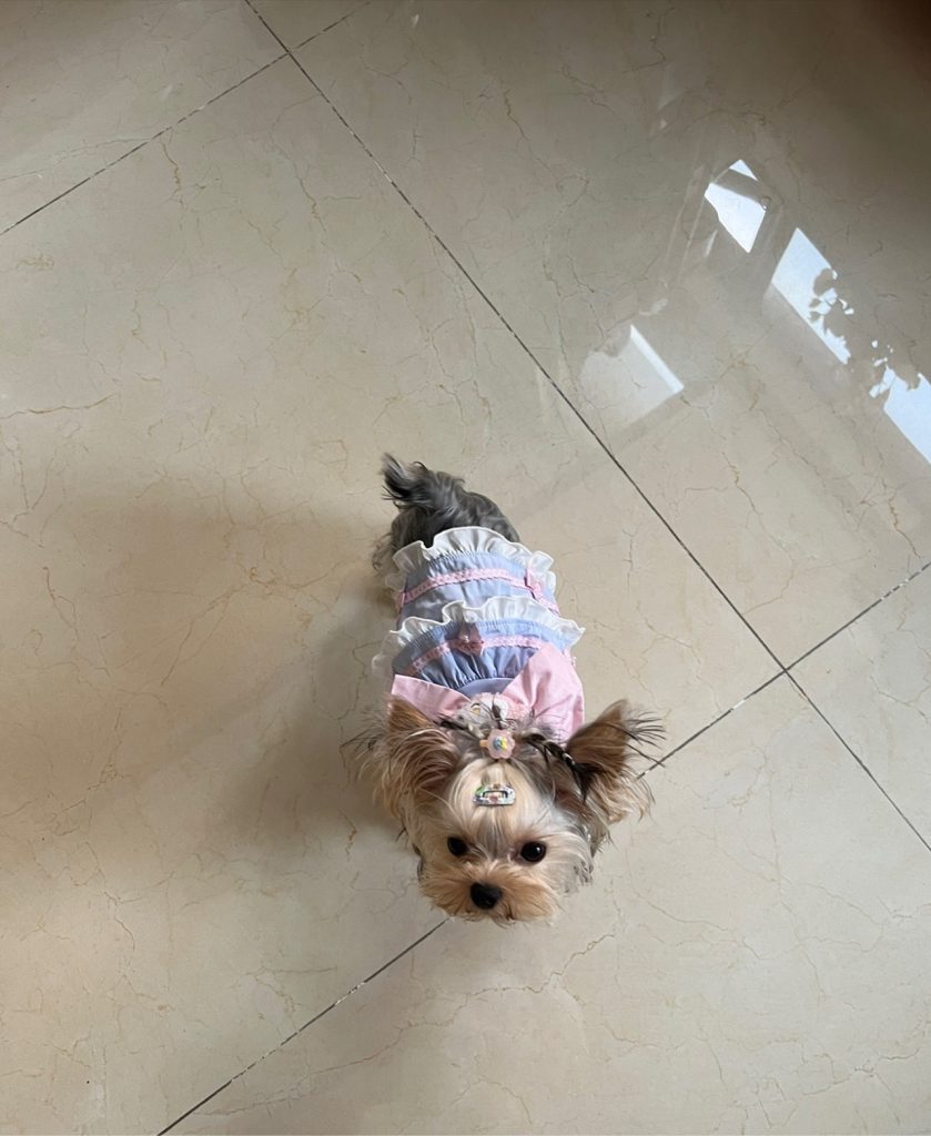 Customer photo shared with Elsamilu