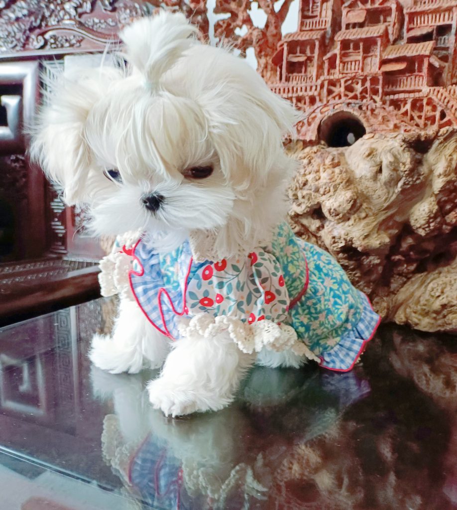 Customer photo shared with Elsamilu