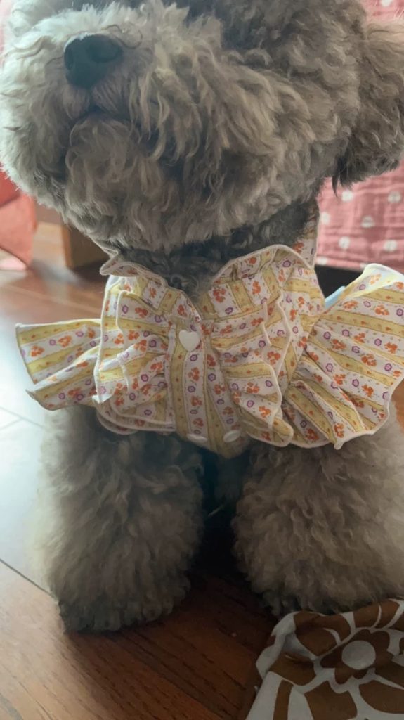 Customer photo shared with Elsamilu