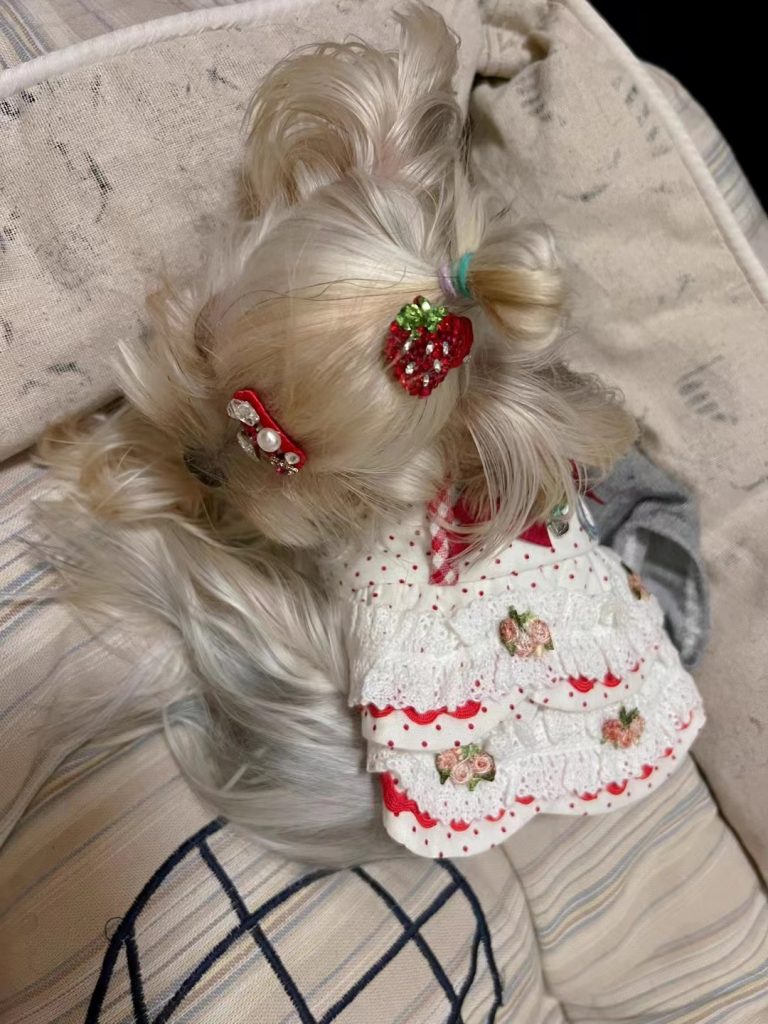 Customer photo shared with Elsamilu