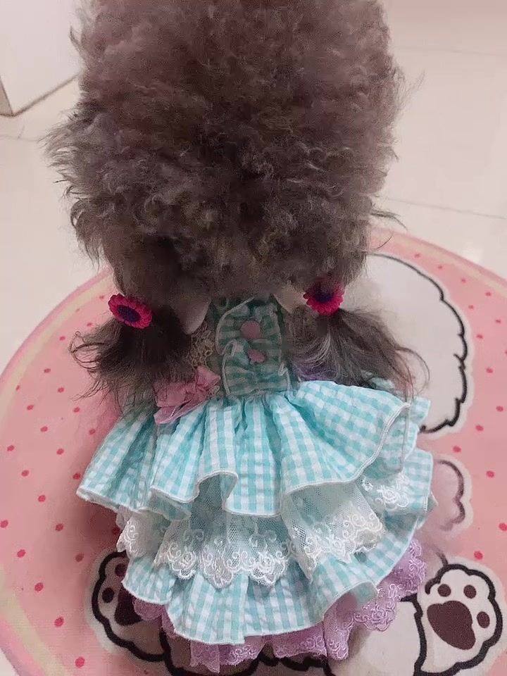 Customer video shared with Elsamilu