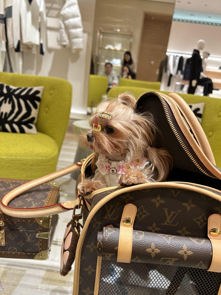 Customer photo shared with Elsamilu