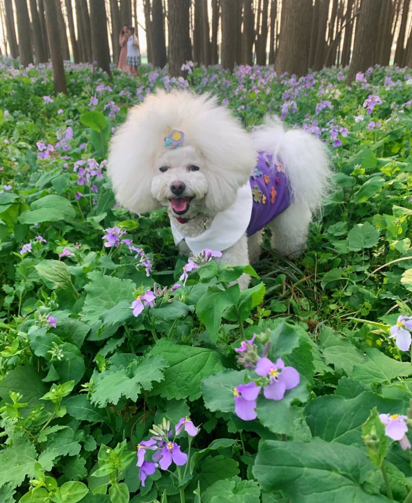 Customer photo shared with Elsamilu