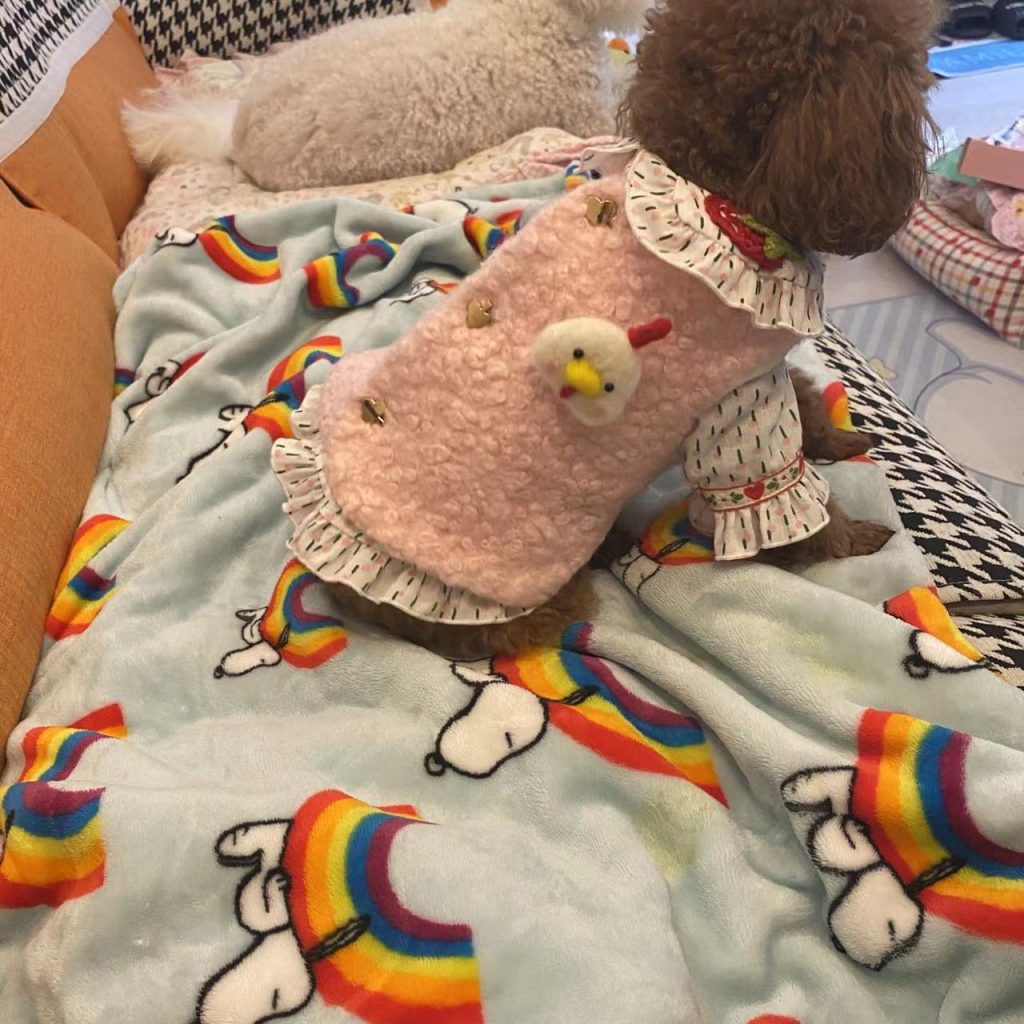 Customer photo shared with Elsamilu