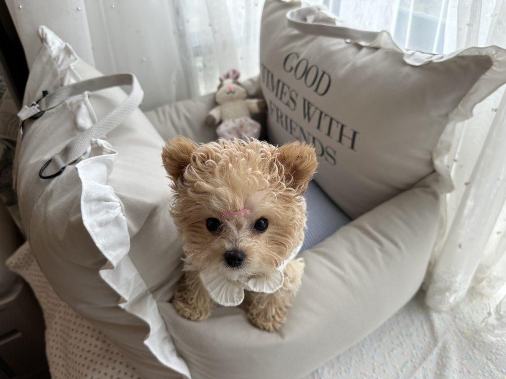 Customer photo shared with Elsamilu