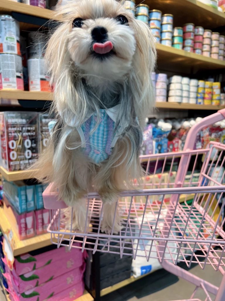 Customer photo shared with Elsamilu