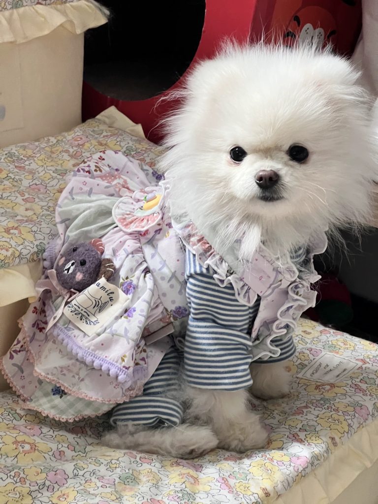 Customer photo shared with Elsamilu