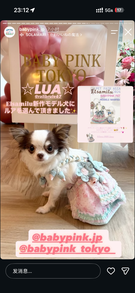 Customer photo shared with Elsamilu