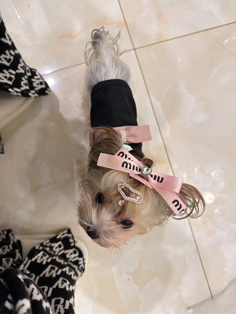 Customer photo shared with Elsamilu