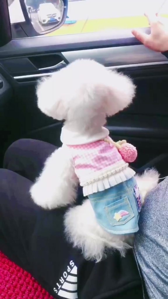 Customer video shared with Elsamilu