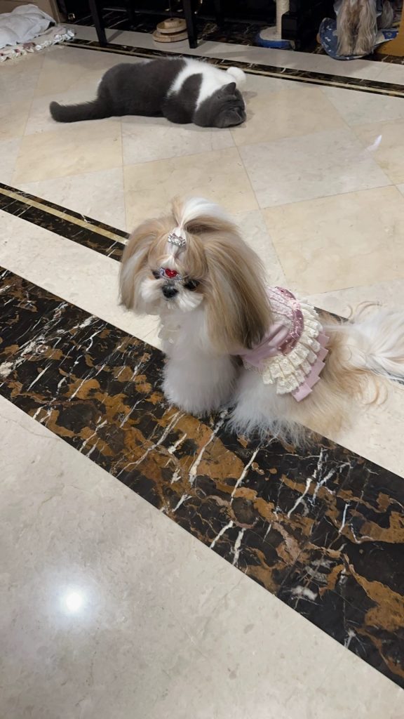 Customer photo shared with Elsamilu