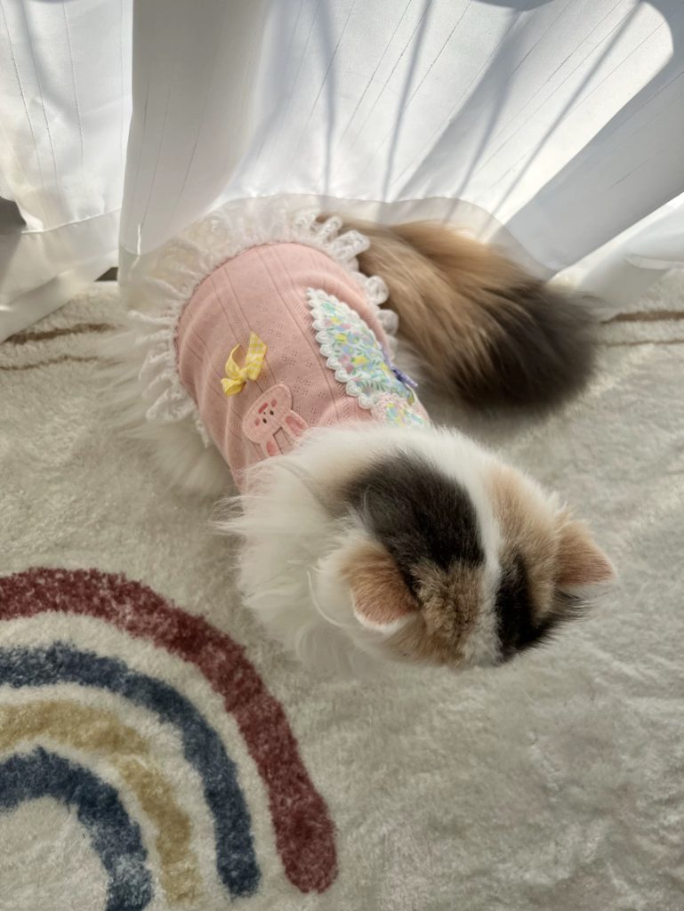 Customer photo shared with Elsamilu