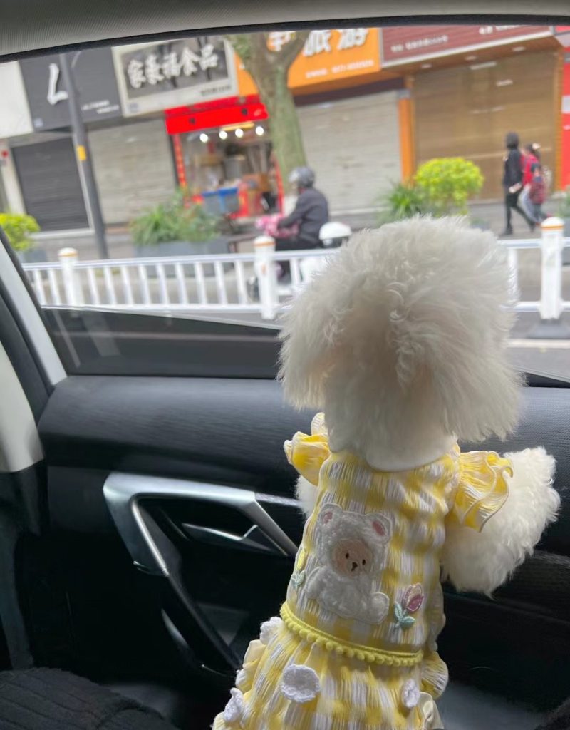 Customer photo shared with Elsamilu