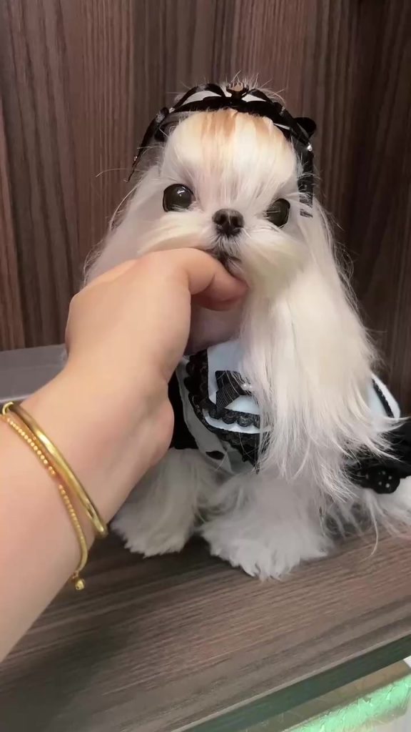 Customer video shared with Elsamilu