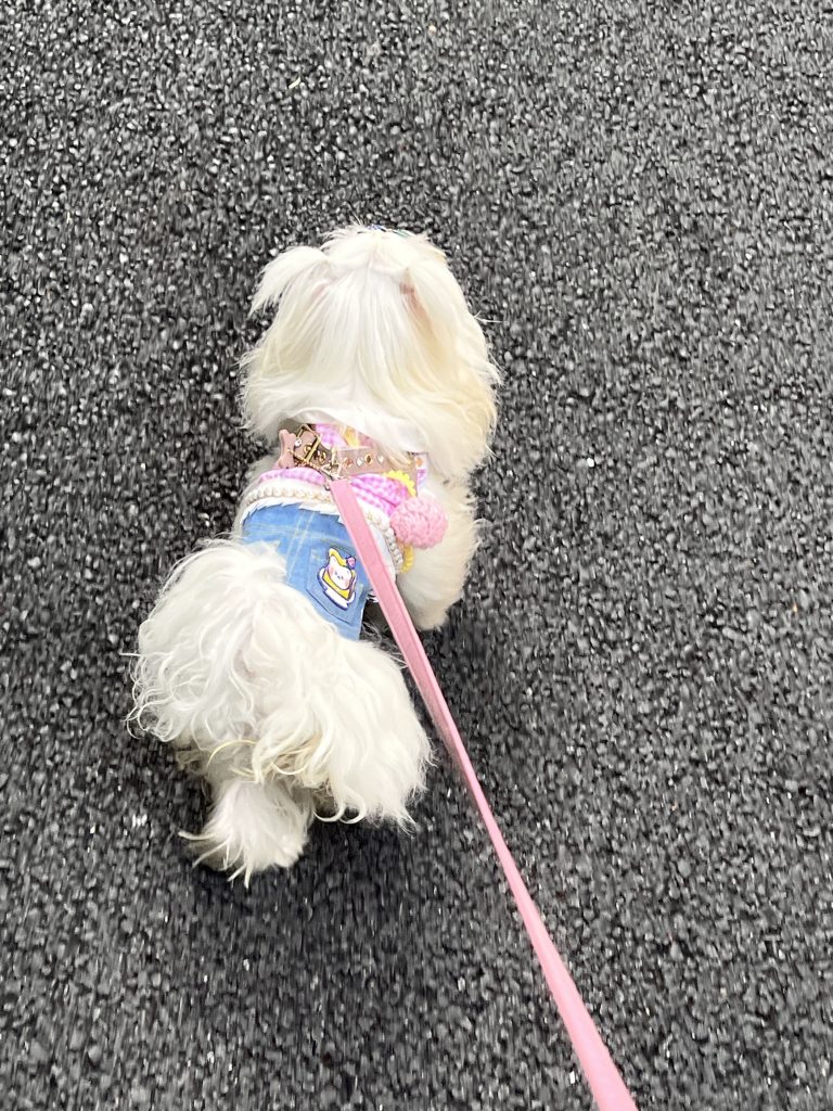 Customer photo shared with Elsamilu