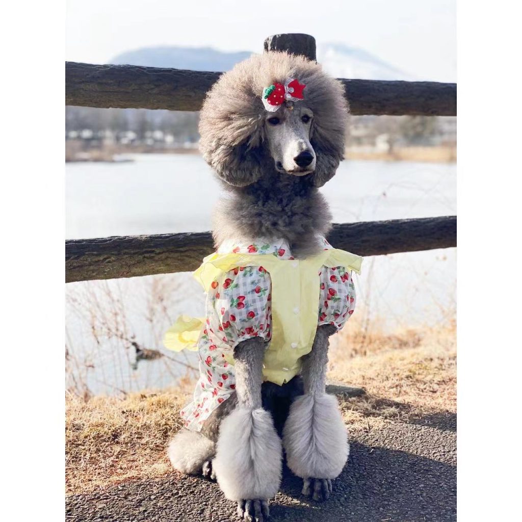 Customer photo shared with Elsamilu