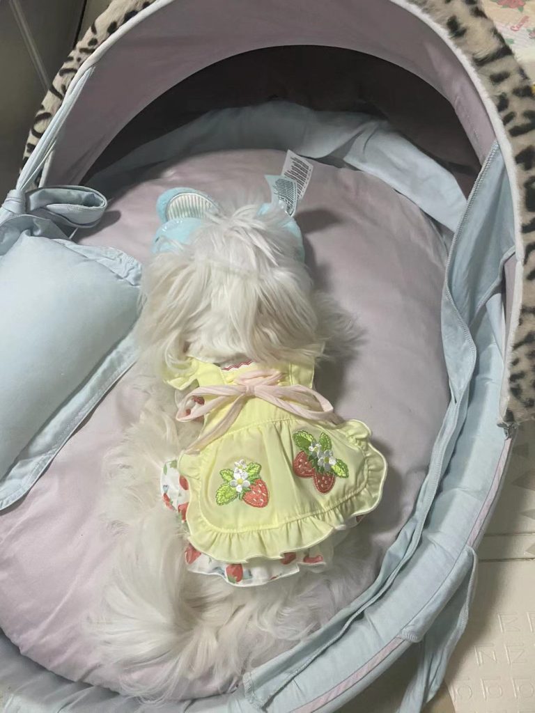 Customer photo shared with Elsamilu