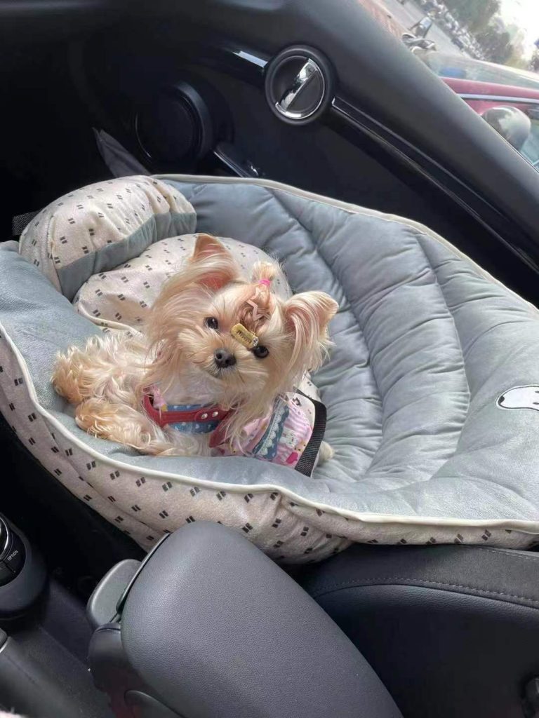Customer photo shared with Elsamilu