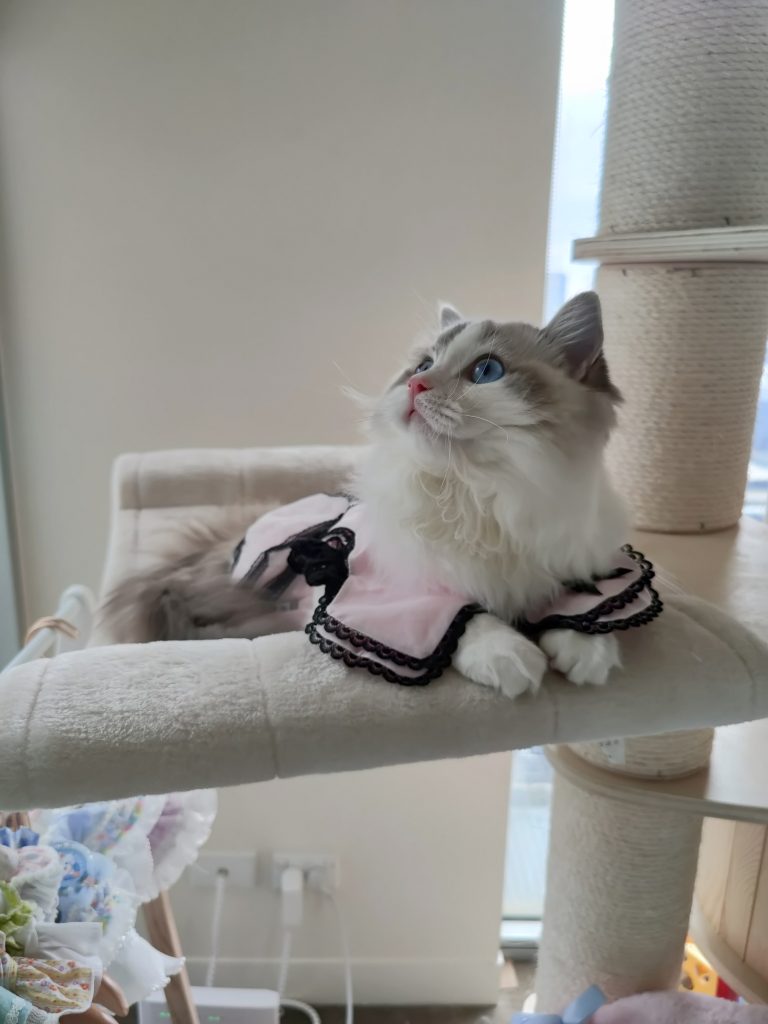 Customer photo shared with Elsamilu